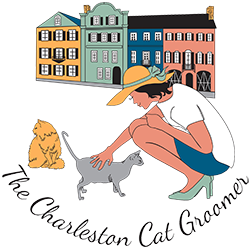 the charleston cat groomer Shopify web development web design las vegas Nevada USA